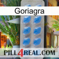 Goriagra 22